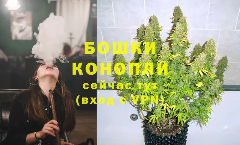 MEGA   Шуя  Бошки Шишки THC 21% 